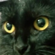 Басов Денис