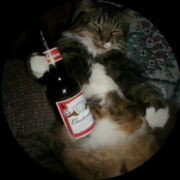 Ширинкин Владимир Николаевич Ширинкин Владимир Николаевич