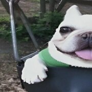 Мосейко Данил