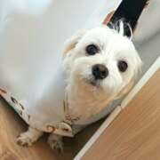 Зотов Ярослав Зотов Ярослав