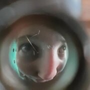 Шевченко Варя Александровна Шевченко Варя Александровна