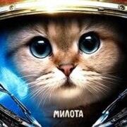 Фельдшеров Матвей Сергеевич