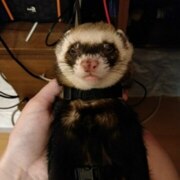 Варанкин Алексей Вячеславович