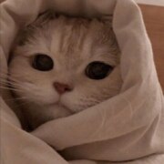 Блинова Елизавета Валерьевна