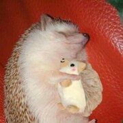 Федулов Даниил Денисович