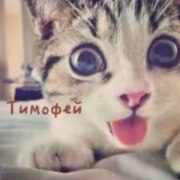 Лапшин Тимофей Дмитриевич