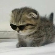 Тамбова София