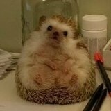 Андреев Никита