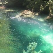 Лолеко София Алексеевна