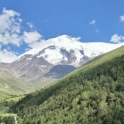 Ветлукова Олеся