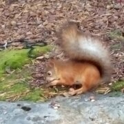 Сентябов Артемий