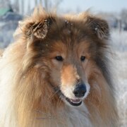 Зубкова Оксана