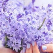 Шляпина Любовь Евгеньевна