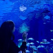 Чахнакия Майя