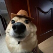 Коновалов Сергей Николаевич