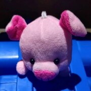 Суржиков Владислав Николаевич