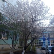 Влад Ермолин Андреевич