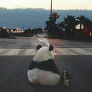 Сучков Алексей Николаевич