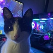 Кубышев Ростислав Владимирович Кубышев Ростислав Владимирович