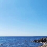 Курганова Ольга Курганова Ольга