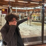 Балуев Максим Александрович