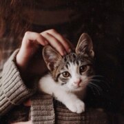 Яруллина Диляра