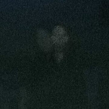 Шмонин Михаил Сергеевич Шмонин Михаил Сергеевич