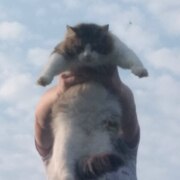 Дьячковский Роман Романович