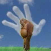 Кочегарова Анастасия Павловна