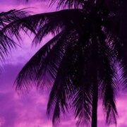 Золотых Максим Вадимович Золотых Максим Вадимович