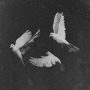 Байсултанов Салимхан Шамилоич