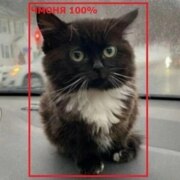 Дёмин Паша Сергеевич Дёмин Паша Сергеевич