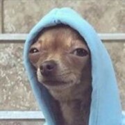 Толмачёв Саша Сергеевич