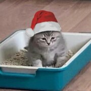 Исаев Александр