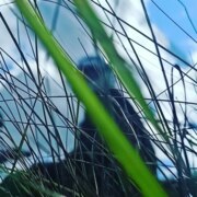 Мосенков Матвей Александрович