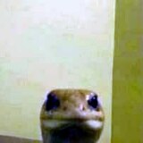 Коновальчук Богдан Денисович