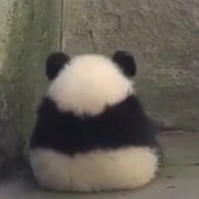 Лю Арюна Хунтаовна