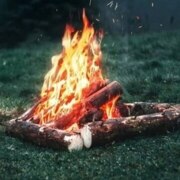 Шилкин Данила Юрьевич