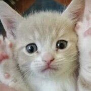 Галилова Марьям Тахировна