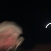 Ерофеев Дмитрий Александрович Ерофеев Дмитрий Александрович