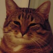 Зезянов Сергей Витальевич