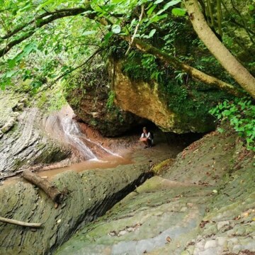 Лебедев Андрей Александрович