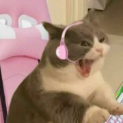 Рубцова Ангелина Витальевна