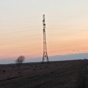 Цыпленков Ярослав