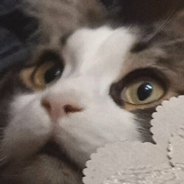 Наговицына Настя Романовна