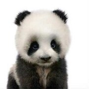 Карпенко Любовь Карпенко Любовь