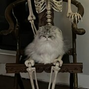 Шмелева Света