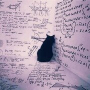 Денико Матвей Олегович