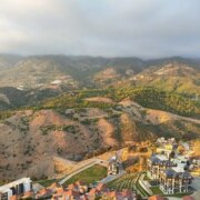 Баяндина Анфиса