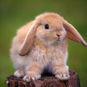 Федюков Фёдор